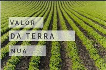 VTN - Valor da Terra Nua