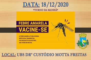 VACINA DA FEBRE AMARELA